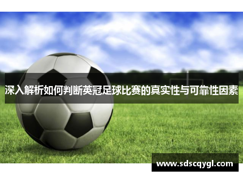 深入解析如何判断英冠足球比赛的真实性与可靠性因素